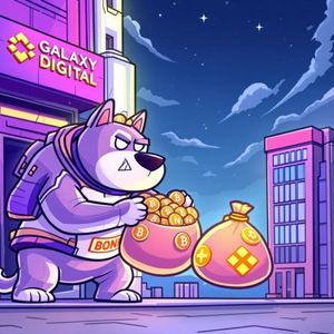BONK Token Shockwave: Galaxy-Linked Address Transfers $18.75M After Massive Burn