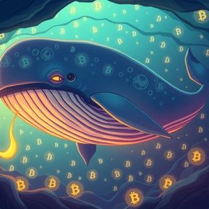 Bitcoin Whale Unleashed: Historic $457M Move After 14.5 Years