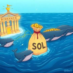 SOL Whales Unleash Massive $23.3M Withdrawal: What It Means for Solana’s Future