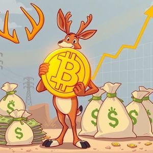 Antelope Enterprise’s Bold Bitcoin Investment: A Game-Changing $50M Strategy