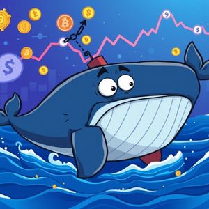 Urgent Alert: Crypto Whale Liquidation Averted by AguilaTrades on Hyperliquid