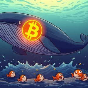 Bitcoin Whale Awakens: Shocking 50 BTC Transfer After 14.5 Years of Dormancy