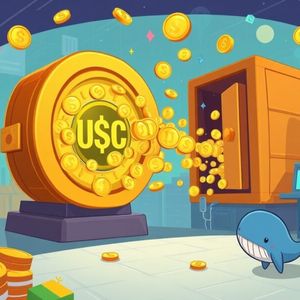 USDC Stablecoin: Unpacking the Massive 250 Million Mint