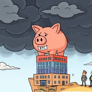 Bitcoin Treasury Boom: Decoding the Alarming Risks for Investors