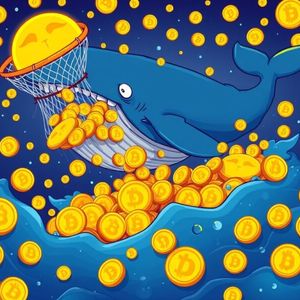 Dogecoin Whales Unleash Massive 310M DOGE Buying Spree: What It Means