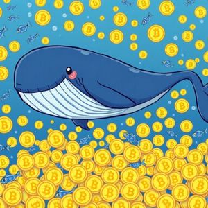 Bitcoin Whales’ Astounding Accumulation: A Bullish Signal?