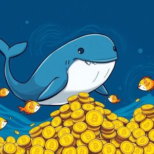 Bitcoin’s Remarkable Accumulation: Whale Wallets Soar, Signalling Unwavering Confidence