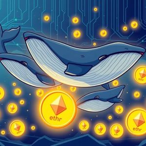 Ethereum Whales Make Massive $2.89 Billion Accumulation in 20 Days