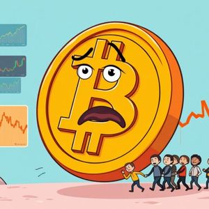 Bitcoin Price Drop: Unveiling the Alarming Decline Below $113,000