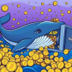 XRP Transfer: Unveiling a Massive $886 Million Move to Ripple