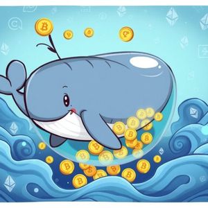 Ethereum Whale Unveils Strategic Accumulation After Year of Selling