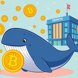 Bitcoin Transfer: Unveiling the Crucial 2,033 BTC Shift to Binance