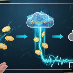 XRP Price Fluctuations: Sunny Mining Launches High-Yield Cloud Mining, Helping Users Convert XRP into Daily Profits