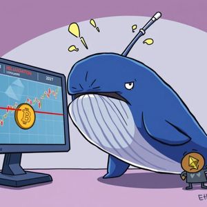 Urgent: Bitcoin Liquidation Looms for Hyperliquid Whale’s $115M BTC Short