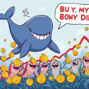 Bitcoin Accumulation: Whales and Retail Investors Fuel Astonishing Market Rebound