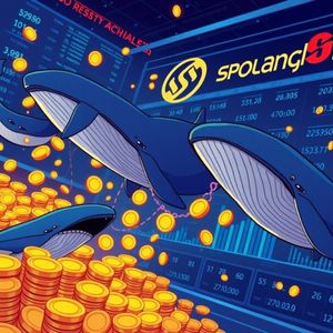 SOL Selling Activity: Crucial Warning from Three Whale Addresses