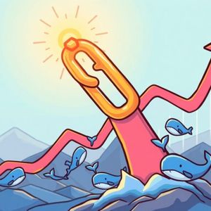Chainlink Price Explodes: LINK Hits $24 Amidst Remarkable Whale Activity