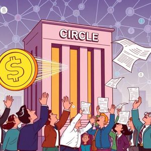 Circle Shares: A Crucial Public Offering for the USDC Issuer