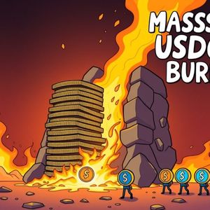 USDC Burn: What a Massive 318 Million Stablecoin Event Means for You