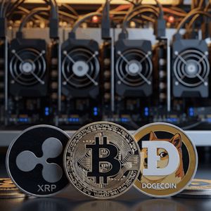 XRP Holders Earn Over $7,600 Daily with OurCryptoMiner BTC and DOGE Mining Contracts