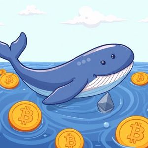 Whale Crypto Purchase: Strategic $84M Buy Signals Confidence in Market Dip