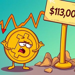 Alarming Bitcoin Price Fall: BTC Drops Below $113,000