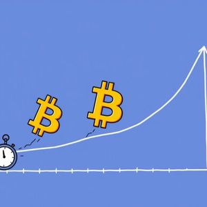 Bitcoin Halving Cycle: Unlocking the Next Market Peak?