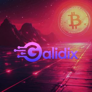 Galidix expands support team, boosting customer capabilities