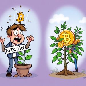 Bitcoin Profit Expectations: Why Realistic Goals Are Crucial for Long-Term Success