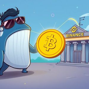 Massive SOL Transfer: $220 Million Moves to Binance, What’s Next?