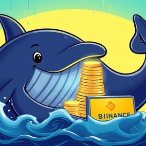 Massive ETH Whale Deposit: What Does This $72.9M Binance Transfer Mean?
