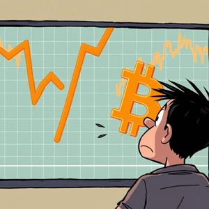 Urgent Alert: Bitcoin Price Fall Sees BTC Plunge Below $114,000