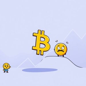 Bitcoin Price Drop: What’s Next After BTC Plunges Below $114,000?