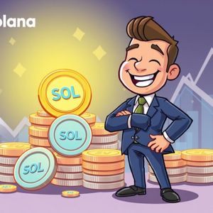Unprecedented Solana Company SOL Purchase: Over 1 Million Acquired