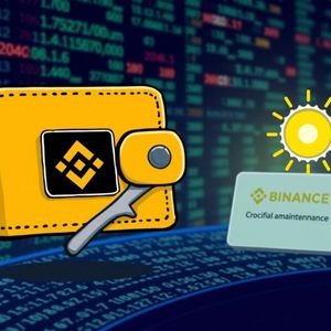 Urgent Binance Solana Suspension: Your Crucial Guide to Temporary Network Maintenance