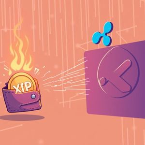 XRP Transfer: Unpacking the Massive 200 Million XRP Move to Ripple