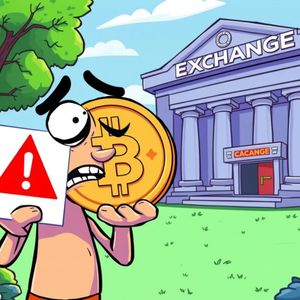 Critical Bithumb CTXC Investment Warning: What Every Crypto Investor Must Know