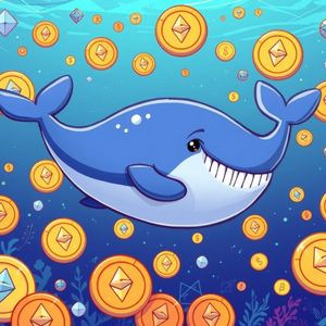 Stunning ETH Whale Accumulation: $1.38 Billion Ethereum Buying Spree Since November Revealed