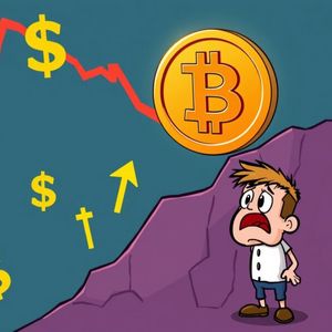 Bitcoin Price Plummets: BTC Drops Below $104,000 in Market Shakeup