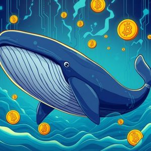 Stunning Bitcoin Whale Accumulates Another $24.2 Million in Massive Purchase