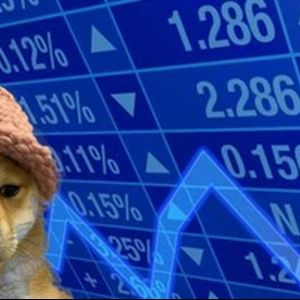 A Close Look At The Meme Coin WIF