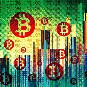 Bitcoin Halving: A Wild Ride