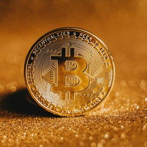 Is Bitcoin Inevitable? If So, Does Anyone Need To Fight For It?