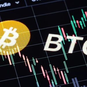 Bitcoin’s Volatility Is Its Strategic Edge