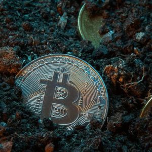 Bitcoin Will Thrive After All Coins Have Been Mined Data Now Shows