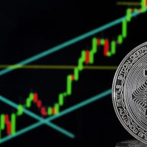 Bitcoin Dominance Overshadows Several Important Crypto Trends