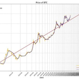 The Logic Behind Bitcoin's Power Law