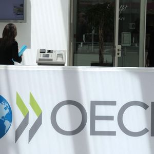 The Future of Tokenization: Insights from the OECD