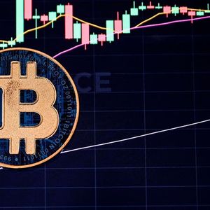 Why Crypto Prices Are Volatile Despite Policy Support