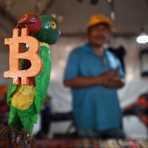 How Bitcoin-Backed Loans Are Creating A New Financial Symbiosis